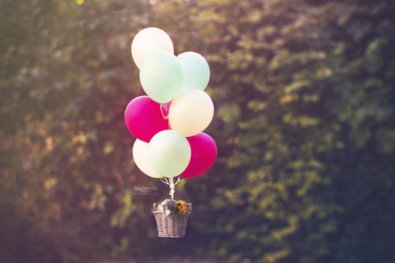 caviafotograaf veghel