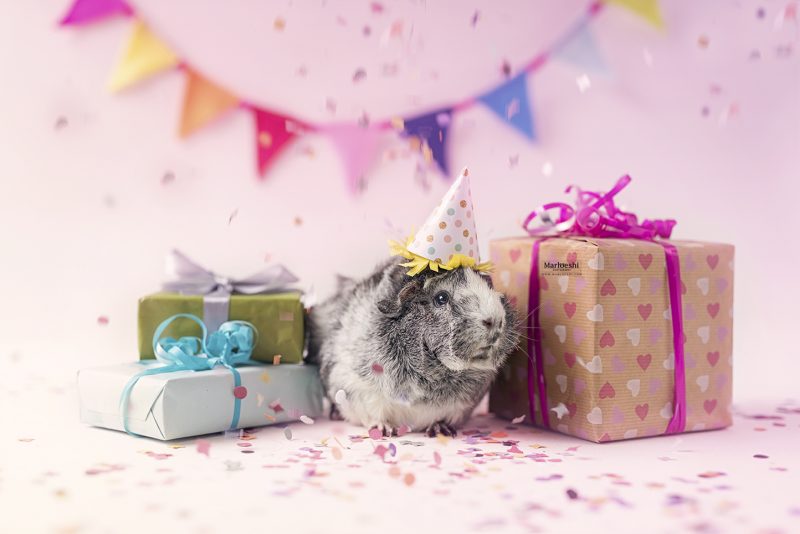 caviafotograaf veghel