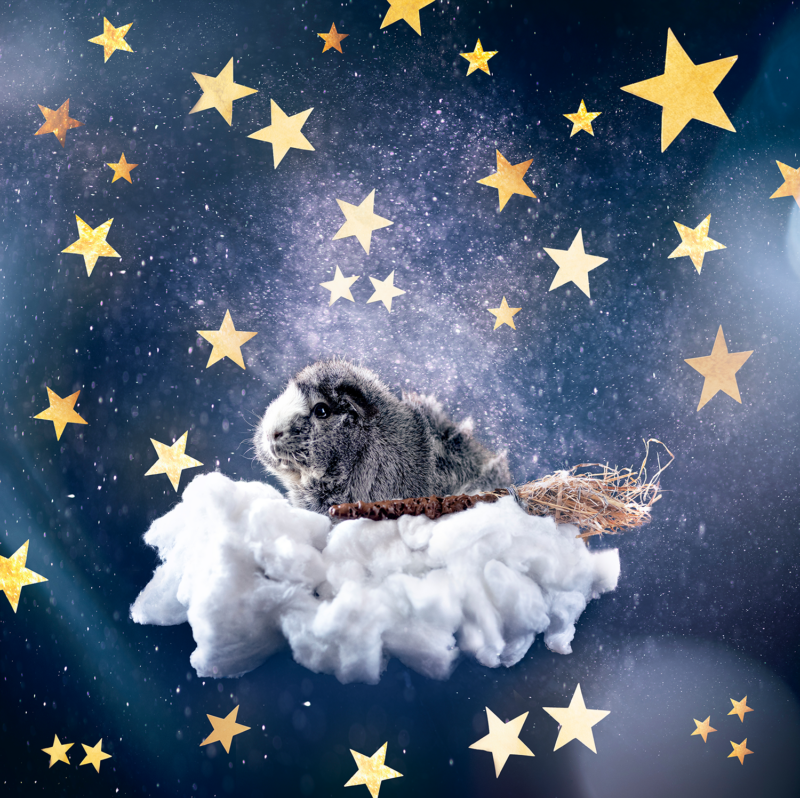 caviafotograaf veghel