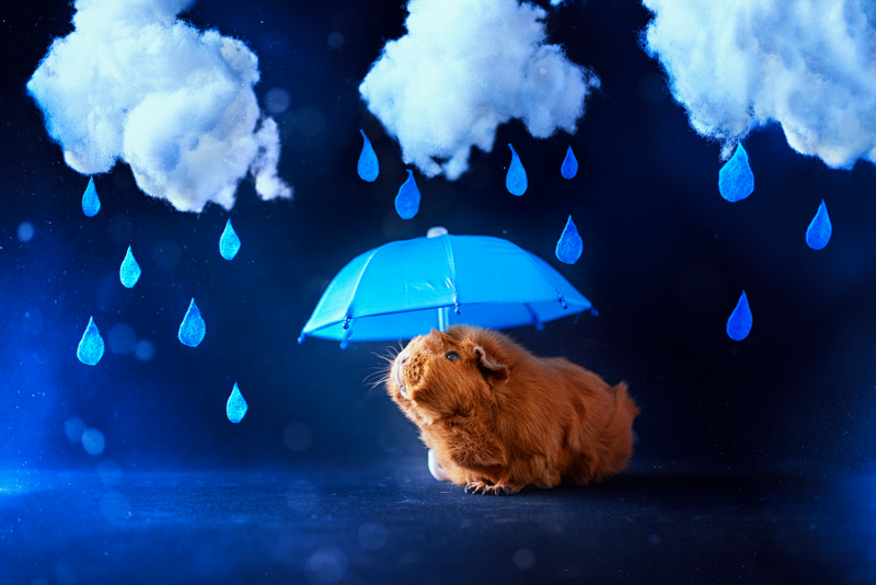 caviafotograaf veghel