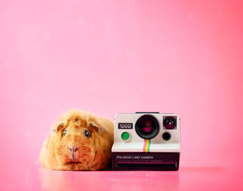 caviafotograaf veghel