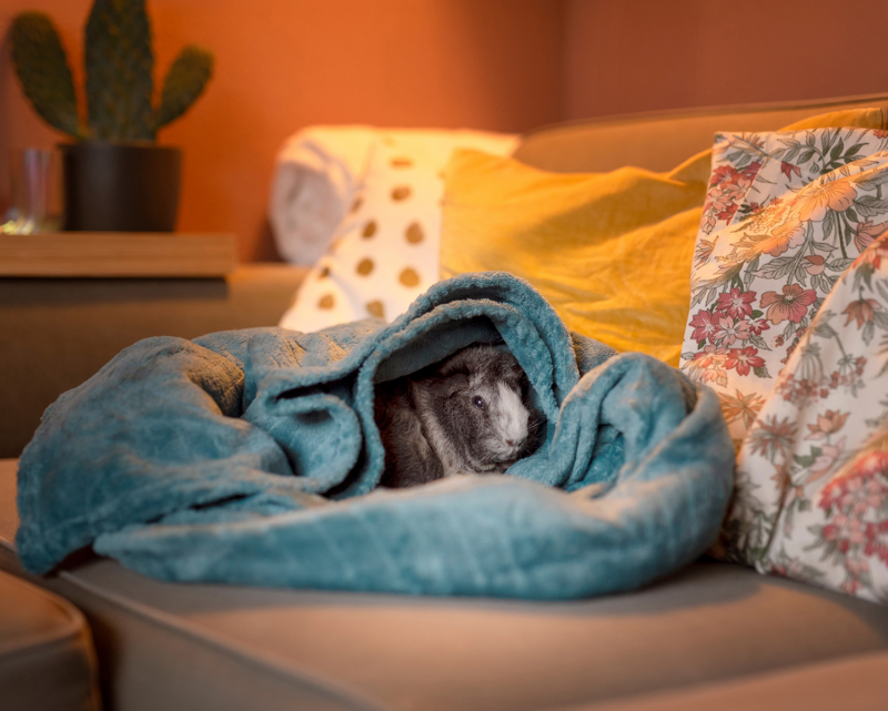 caviafotograaf veghel